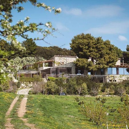 טרביסאצ'ה Masseria Agriturismo Torre Di Albidona מראה חיצוני תמונה