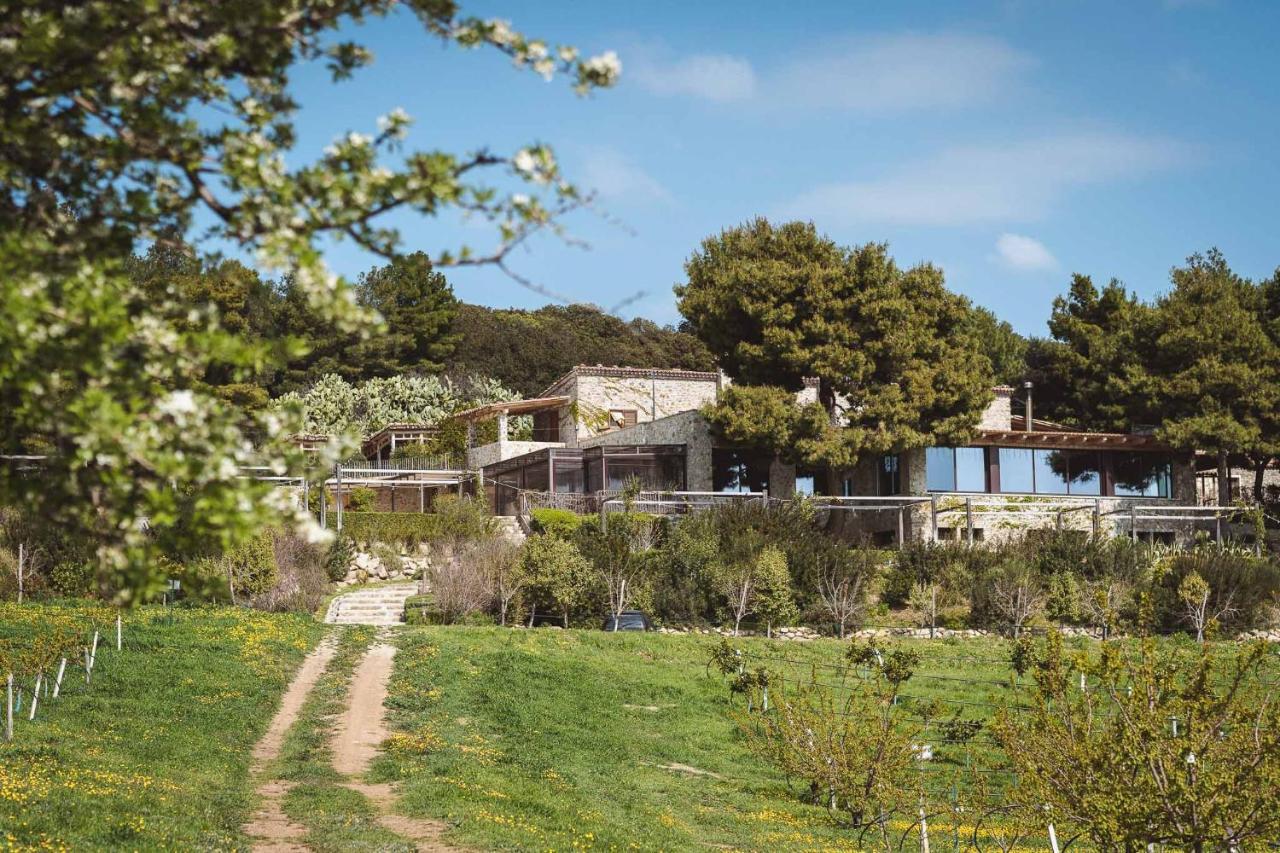 טרביסאצ'ה Masseria Agriturismo Torre Di Albidona מראה חיצוני תמונה