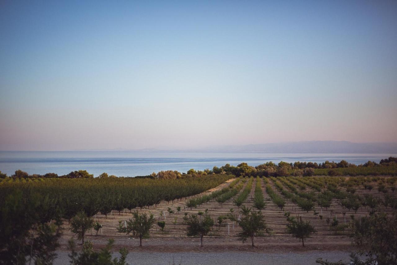 טרביסאצ'ה Masseria Agriturismo Torre Di Albidona מראה חיצוני תמונה