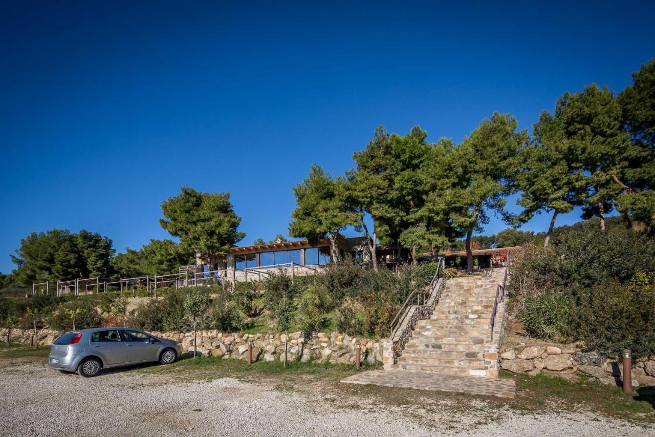 טרביסאצ'ה Masseria Agriturismo Torre Di Albidona מראה חיצוני תמונה