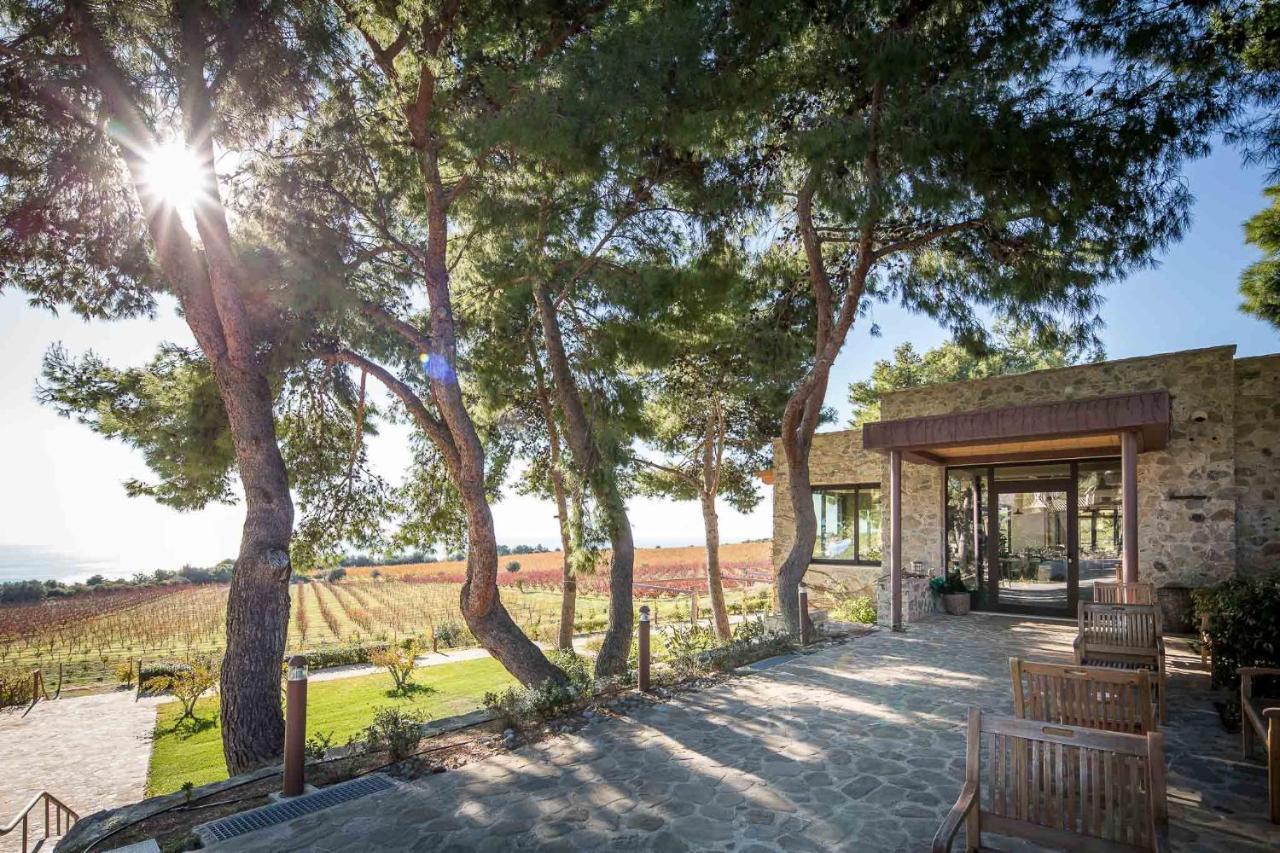 טרביסאצ'ה Masseria Agriturismo Torre Di Albidona מראה חיצוני תמונה